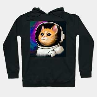 Catronaut in the space Hoodie